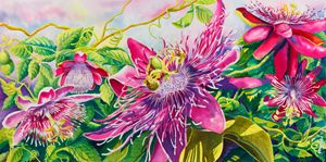 Passionflower Party