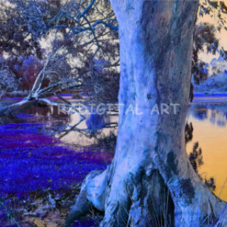 Blue Lagoon Mystic Panorama - Digital Image