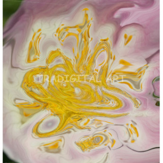 Yellow Maelstrom with Light Pink Shades